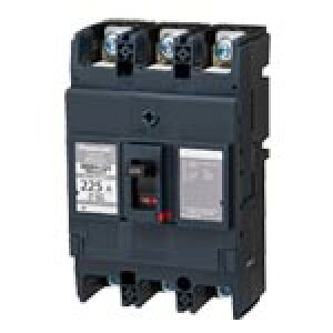 BBWA21252Panasonic �d�ݎ��� �T�[�L�b�g�u���[�JBBWA�^ �՗p�t���[���F225AF �^���FBBWA-225 �ɐ��f�q��2P2E ��i�d��125A