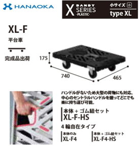 XL-F���@�l��p �l��z���s�� �ԉ����q ��� DANDY �_���f�B X�V���|�Y -PLASTIC- ���^�T�C�Y Type XL �t���b�g