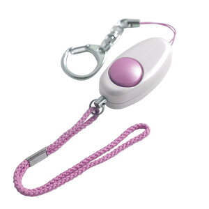 AKB-100(PK)RpNghƃA[ELPAdZLeBpi