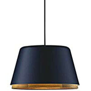 AP45515Lyʌ iz LEĎ^ y_gCg NATURAL NORDIC Walnut A-pendanttW^Cv vdCH 񒲌 dF M100WRCY~Ɩ Ɩ  _CjOƖ 