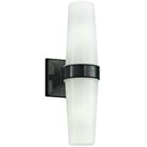 AU45043LGNXeA LEĎ^ 񒲌 F hJ^ FL20WRCY~Ɩ Ɩ 哔 Op AEghACg