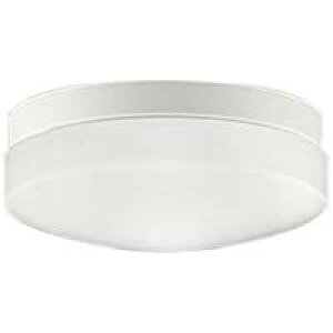 AU46890Lyʌ iz tH[Ej[A LEDvdCH 񒲌 F hJ h^ FCL20WRCY~Ɩ Ɩ oX[pƖ