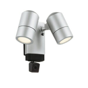 OG264290GNXeA LEDX|bgCg{̂̂ 环ʃJt JDR50W×2I[fbN Ɩ AEghACg Op h