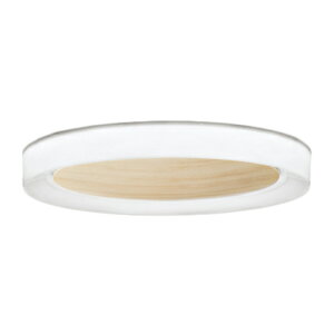 OL291664BRLED�V�[�����O���C�g SOLID RING wood [�\���b�h�����O] 8���pR15�����F �N���X2 CONNECTED LIGHTING LC-FREE �����E���F Bluetooth�Ή� �d�C�H���s�v�I�[�f���b�N �Ɩ���� �V��Ɩ� �y�`8��z