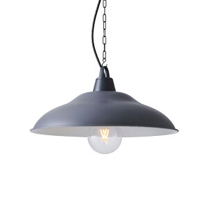 MP40644-25Ɩ Dish L LEDy_gCg { dCHsvCHAIN PENDANT/CRAFT LAMP}bNXC Ɩ VƖ ݉