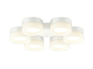 WF297LRV[Ot@p 8p R15F NX2Z[h^CvE6 dF 񒲌I[fbN Ɩ y`8z