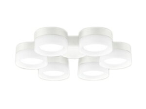 WF297NRV[Ot@p 8p R15F NX2Z[h^CvE6 F 񒲌I[fbN Ɩ y`8z