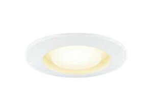 LEDD85920(W)�A�E�g�h�A���C�g LED���j�b�g�t���b�g�` �����p�_�E�����C�gSGI�` ��` ������100 �����v�ʔ����Ń��C�e�b�N �Ɩ���� ���� �K�[�f�����r���O�p