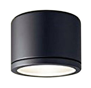パナソニック Panasonic 施設照明テクニカル照明 軒下用LEDシーリングライト天井面用 ブラック 防雨型NNN53820B