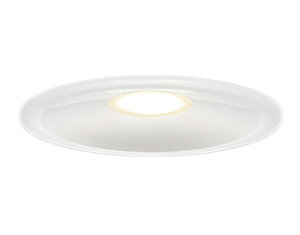 LEDD87055L(W)-LS�A�E�g�h�A LED��̌`�����p�_�E�����C�g��������150 ���M�����100W�N���X ���C��SB�` ��`�d���F �񒲌� ���ω΍\���Ή����Ń��C�e�b�N �Ɩ����