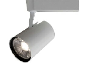 EL-SL30022WW/W 1HTNLEDX|bgCg AKV[Y ʖ CeBO_Ngp 100VʓxEF^Cv(́EAp) NX300-250 HID70` 19°VbvzCg(3500K) AOHd
