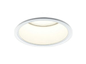 XD052541WXLEDx[X_ECg X-Pro F150 [^ FR[F 2500/1500/1000lmNX Ɠxp55°RCY~Ɩ {ݏƖ