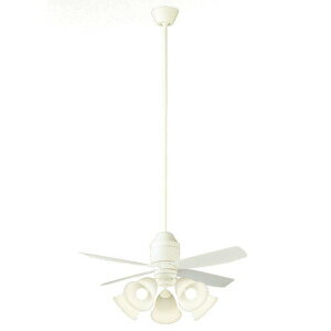 XS70540KLEDV[Ot@ 14p dF s 12W t{gtp V݉ 4iؑ t]ؑ 1/f炬 Md100`5Panasonic Ɩ y`14z