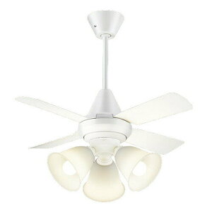 XS95043KLEDV[Ot@ 8p dF s 13W t{gtp V݉ 4iؑ t]ؑ 1/f炬 Md100`3Panasonic Ɩ y`8z