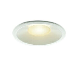 AD5109136mm��^ LED�_�E�����C�g �d���F���C��SB�` ������100 �x�[�X�^�C�v ���M��100W���� �U�� �񒲌��R�C�Y�~�Ɩ� �Ɩ���� �V��Ɩ�