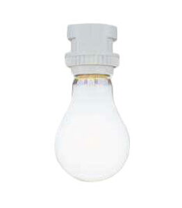 OP0723-81fBXvCƖ E26~jvO}bNXC Ɩ VƖ CeBO[p