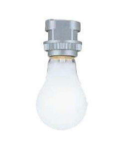 OP0723-89fBXvCƖ E26~jvO}bNXC Ɩ VƖ CeBO[p