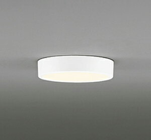 ��OL251751RLED���^�V�[�����O���C�g FLAT PLATE [�t���b�g�v���[�g] LED��̌^R15�N���X2 �񒲌� �d���F ���M��100W�����I�[�f���b�N �Ɩ���� ������ �L�� �ǖʁE�V���t���p