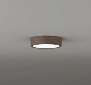 OL251794RLEDV[OCg FLAT PLATE [tbgv[g]R15F NX2 F A M60WNX vdCHI[fbN Ɩ VƖ ցEL Ǖt uPbg