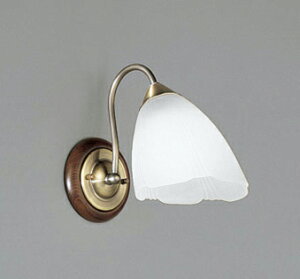 OB080246NRLEDuPbgCg M100WR15F NX2 F 񒲌I[fbN Ɩ Ǖt Ɩ