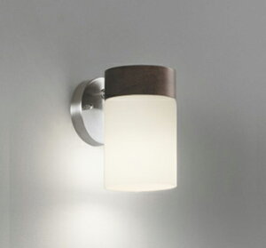 OB255163BRLEDuPbgCg M100W R15F NX2CONNECTED LIGHTING LC-FREE EF BluetoothΉI[fbN Ɩ Ǖt Ɩ