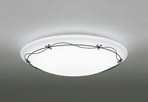 OL251452BCRLEDV[OCg 8p R15FCONNECTED LIGHTING LC-FREE EF BluetoothΉ dCHsvI[fbN Ɩ VƖ  rO   y`8z