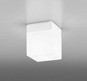 OW009421NRLEDバスルームライト 浴室灯 白熱灯器具60W相当R15高演色 クラス2 昼白色 非調光オーデリック 照明器具 防雨・防湿型 天井付・壁付け兼用 軒下用