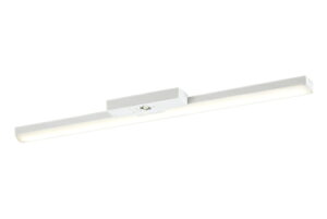 XR506008R2ELEDx[XCg LED-LINE pƖ(KiʘHUp^) R15F NX2t^ gt^ 40` 4000lm^Cv FLR40W×2񒲌 dF3000KI[fbN Ɩ Vt