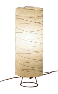 ERF2050NBaƖ LEDX^hCg{̂̂ vʔ(E26) ΉƖ {ݏƖ