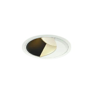 XD302521WMLED�E�H�[���E�H�b�V���[�_�E�����C�g X-Pro ������125HID70�`35W���� 2500/2000lm�N���X �����F 45° �����Ή��R�C�Y�~�Ɩ� �{�ݏƖ� �V��Ɩ� �X�ܗp