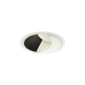XD302521WWLED�E�H�[���E�H�b�V���[�_�E�����C�g X-Pro ������125HID70�`35W���� 2500/2000lm�N���X ���F 45° �����Ή��R�C�Y�~�Ɩ� �{�ݏƖ� �V��Ɩ� �X�ܗp