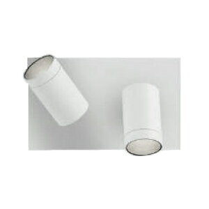 AB53966LED�u���P�b�g���C�g arkia SPOT TYPE���M��100W×2������ �����F �񒲌� �L�p�^�C�v�R�C�Y�~�Ɩ� �Ɩ���� �Ǖt��