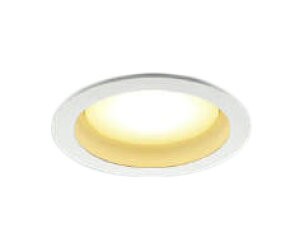 ��AD1202W27LED�t���b�g���j�b�g�Ή� �_�E�����C�g �x�[�X�^�C�v ��������100 ���C��SB�`���M��60W���� �U�� �d���F �񒲌��R�C�Y�~�Ɩ� �Ɩ���� �V��Ɩ�