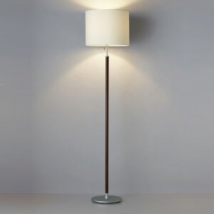 FD-4169-Lyz LEDv^ X^hCg {̂̂݃XCb`t 񒲌 dF M100WRcƖ Ɩ rO Qp fUCCg