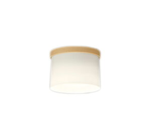 OL291268BRLED^V[OCg R15F NX2CONNECTED LIGHTING LC-FREE EFBluetoothΉ M60WI[fbN Ɩ VƖ L 