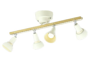 AA54924LEDVfA RtM60W×4 񒲌 dF dCHsvRCY~Ɩ Ɩ VƖ  _CjO CeA