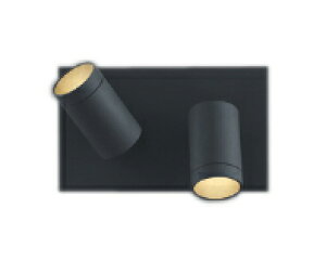 AB54810LEDuPbgCg arkia SPOT TYPEM100W×2  dF Lp^CvRCY~Ɩ Ɩ Ǖt