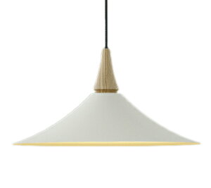 AP54860LED�y���_���g���C�g Natural Nordic et. -�G�g-���M��100W���� �t�����W�^�C�v �d�C�H���s�v �񒲌� �d���F�R�C�Y�~�Ɩ� �Ɩ���� �V��Ɩ� �݉���