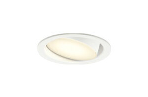 OD361555BCRLEDjo[T_ECg ω΍\Ή100 CSB` M100WNX114°gUz R15F NX2 CONNECTED LIGHTING LC-FREE EF BluetoothΉI[fbN 