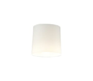 OL013006BRLED^V[OCg R15F NX2 M60WCONNECTED LIGHTING LC-FREE EF BluetoothΉ vdCHI[fbN Ɩ VƖ L 