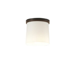 OL013008BRLED^V[OCg R15F NX2 M60WCONNECTED LIGHTING LC-FREE EF BluetoothΉ vdCHI[fbN Ɩ VƖ L 