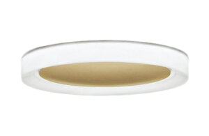 OL291607BRLEDV[OCg SOLID RING [\bhO] 12pR15F NX2 CONNECTED LIGHTING LC-FREE EF BluetoothΉ dCHsvI[fbN Ɩ VƖ y`12z