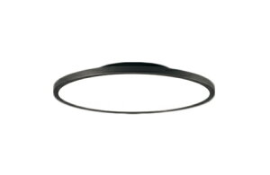 OL291619BRLEDV[OCg FLAT PLATE [tbgv[g] 12pR15F NX2 Ԑڌؑ Rt dCHsvCONNECTED LIGHTING LC-FREE EF BluetoothΉI[fbN Ɩ V