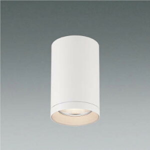 XH92936LEDV[O_ECg dʒu^2500lmNX HID50W60°z FRCY~Ɩ {ݏƖ