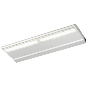 EBL20206AD/NSAN9LED投光器 レディオック カトラス type-L ダウンタイプ L600mm 昼白色屋外用 電源ユニット内蔵形 下向き専用岩崎電気 施設照明