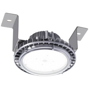 EHTS12025W/NSAN9LEDVpƖ fBIbN nCxC V[^ ϐUϏՌ` H{ݗp 120W^Cv ^nChv400WNX2000 Lp^Cv FEp djbg