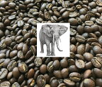 【メール便送料無料】◆ブラックアイボリーのチェンライ版◆☆タイチェンライ・象のコーヒー30g（袋入り）