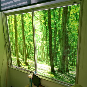 ߐpV[iI[_[jTCY1000m*1000mmȓ1