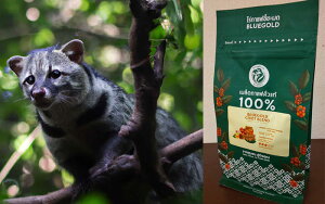 RsAbÑ^CŁ100WRElR R[q[u[S[hE BLUE GOLD CIVET BLENDiς݁j@200g