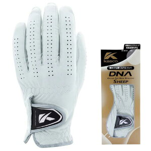 �y���[���֑��������zkasco �L���X�R�EDNA �V�[�v �r�v�S���t�O���[�u GF-2012(����)